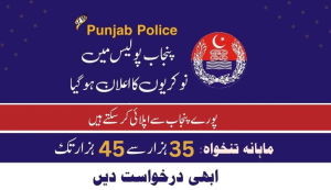 Punjab Police Jobs 2024