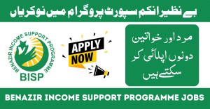 BISP UC Social Protection Officer Jobs 2024 Online Apply| bisp.gov.pk