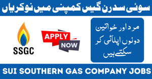 Sui Southern Gas Company Jobs