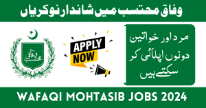 Wafaqi Mohtasib jobs 2024