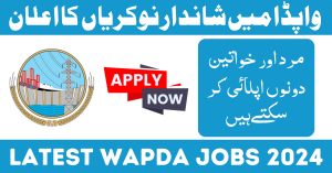 Water & Power Development Authority WAPDA Jobs